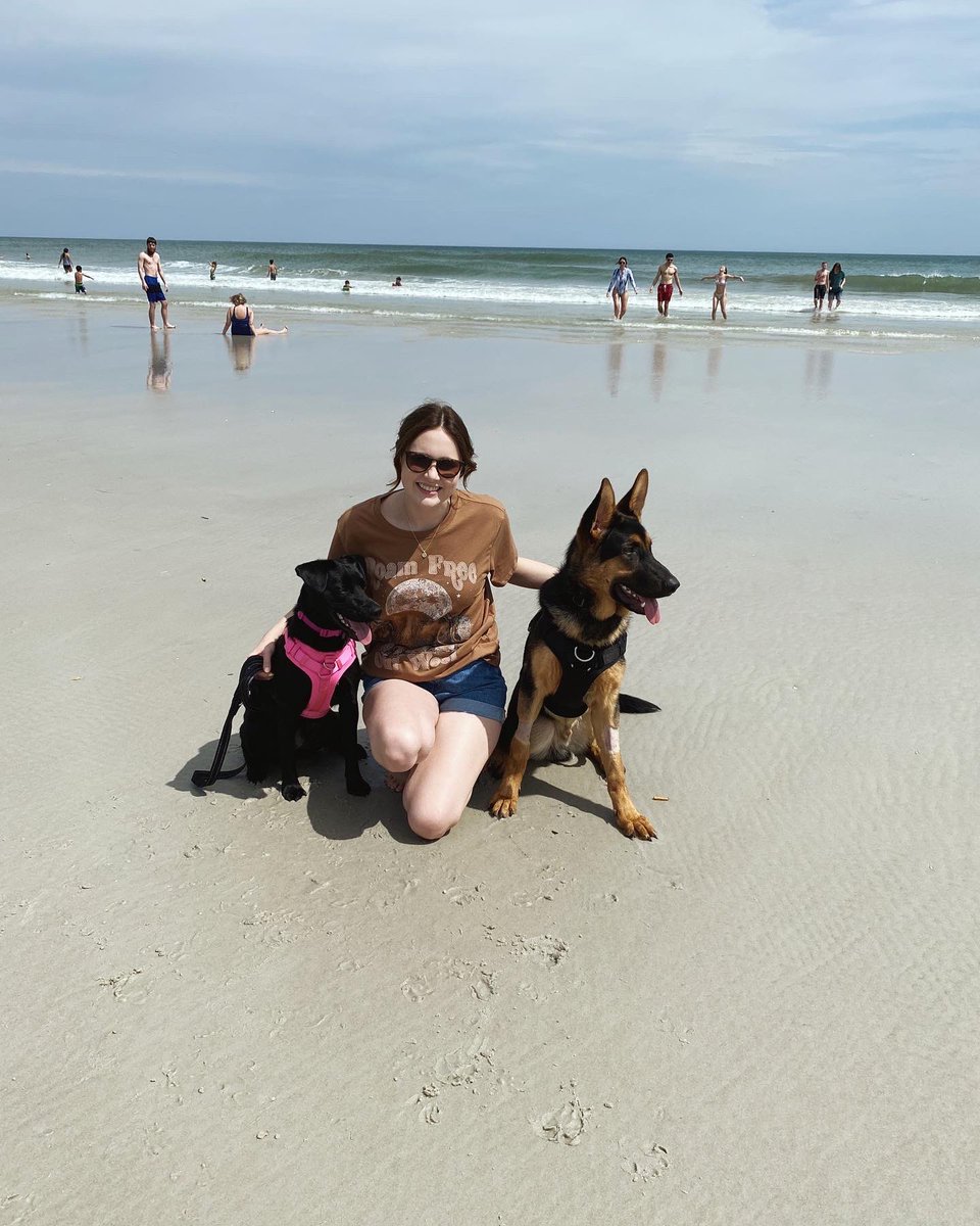 I’m the crazy person who takes their dogs on a road trip to the beach