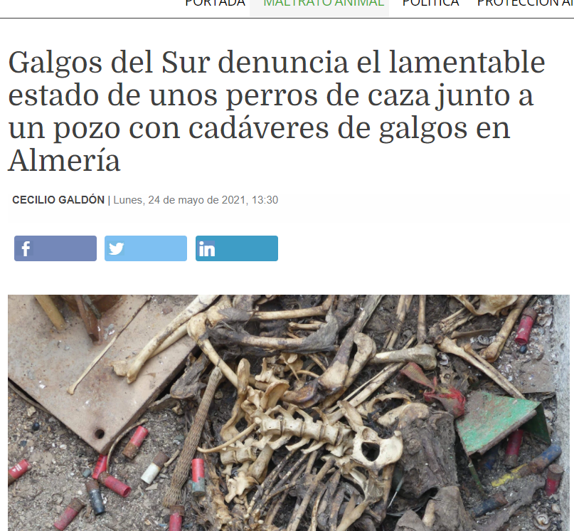AlcalAntitauri1's tweet photo. Queremos un mundo rural VIVO y no lleno de gente que disfruta matando animales y destrozando a los perros. 
#RuralSinMaltratoAnimal 
@sanchezcastejon 
@LuisPlanas 
@PSOE https://t.co/4wRKWI5XYp