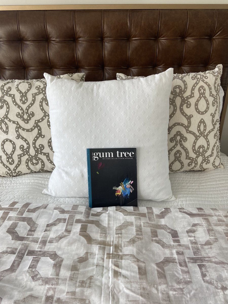 Under the Gum Tree tweet media