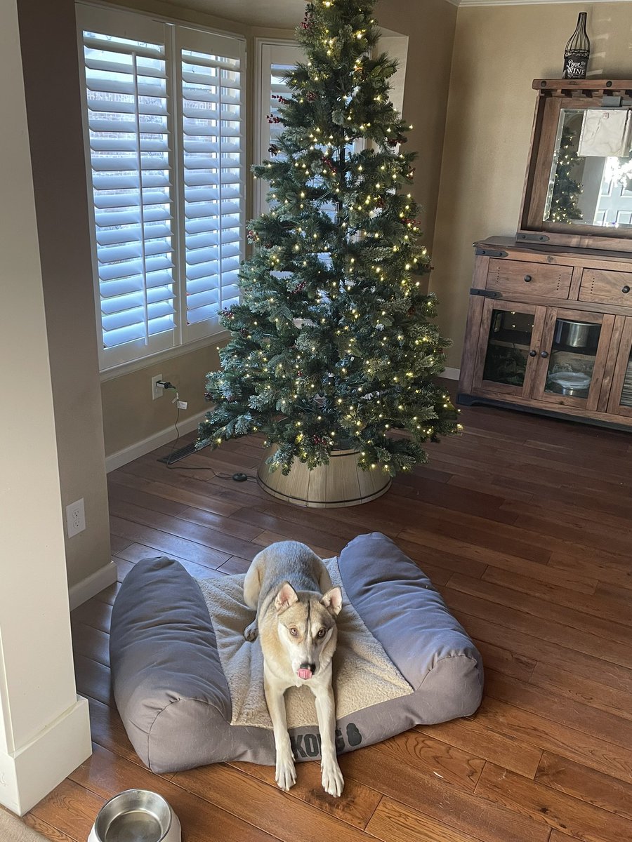 I guess it’s a good day to finally take down my X-mas tree.