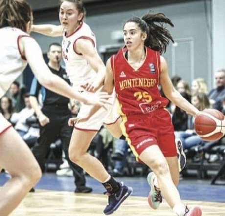 BeoBasket Girls tweet media