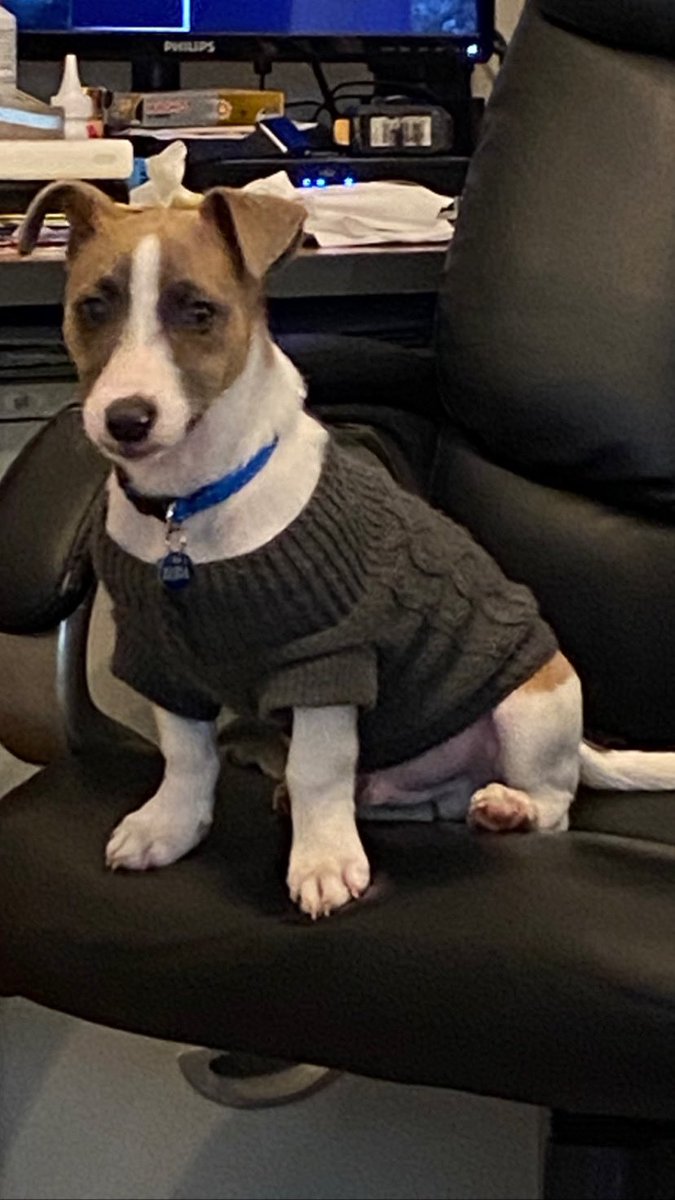 Phil Reedman tweet media