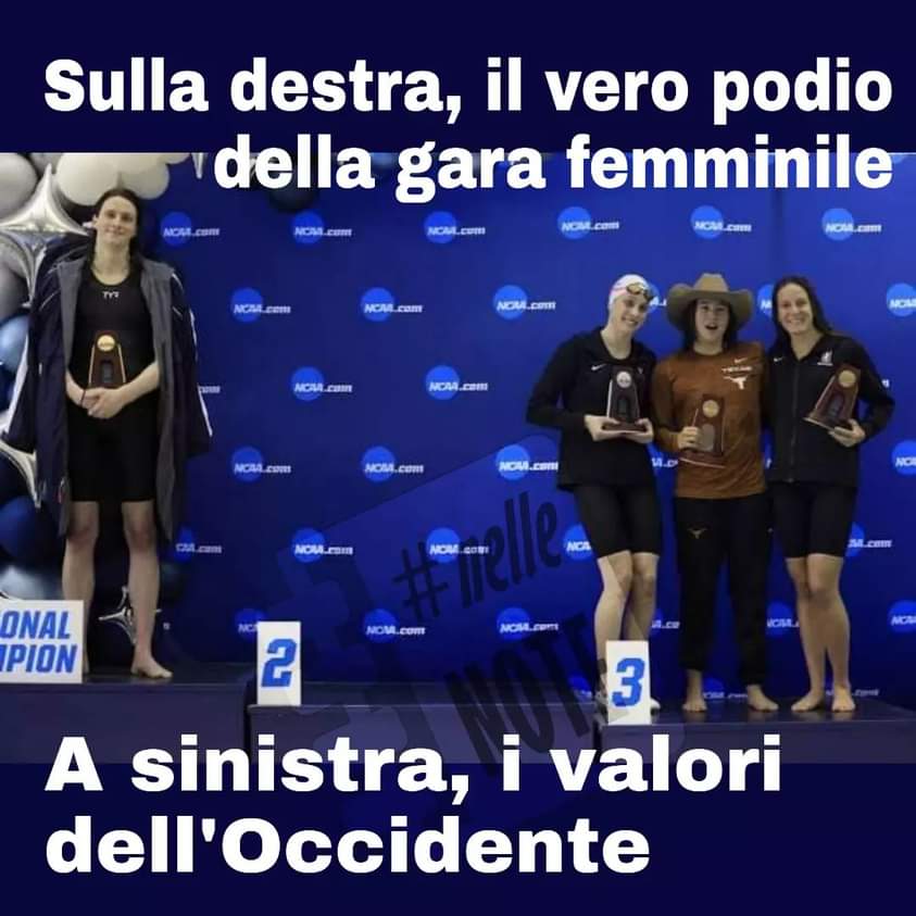 #nelleNOTE tweet media