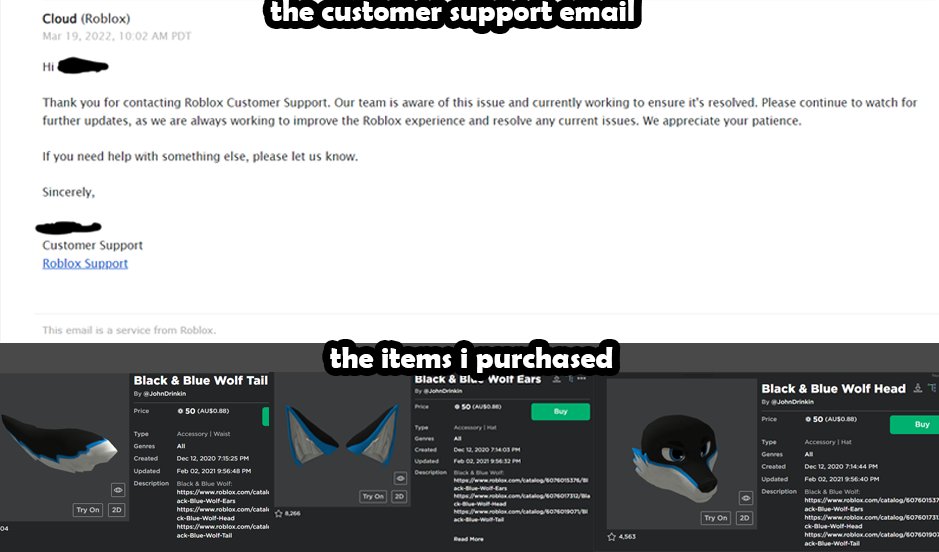 DizoPlayz's tweet photo. @SharkBloxYT  hey, you might want to look into this for a video. I recently purchased 3 items from the catalog but my Robux was deducted but I never received the accessories. I'm not sure if this is a widespread issue or not but hopefully, this gets their attention. https://t.co/axjqphvms7