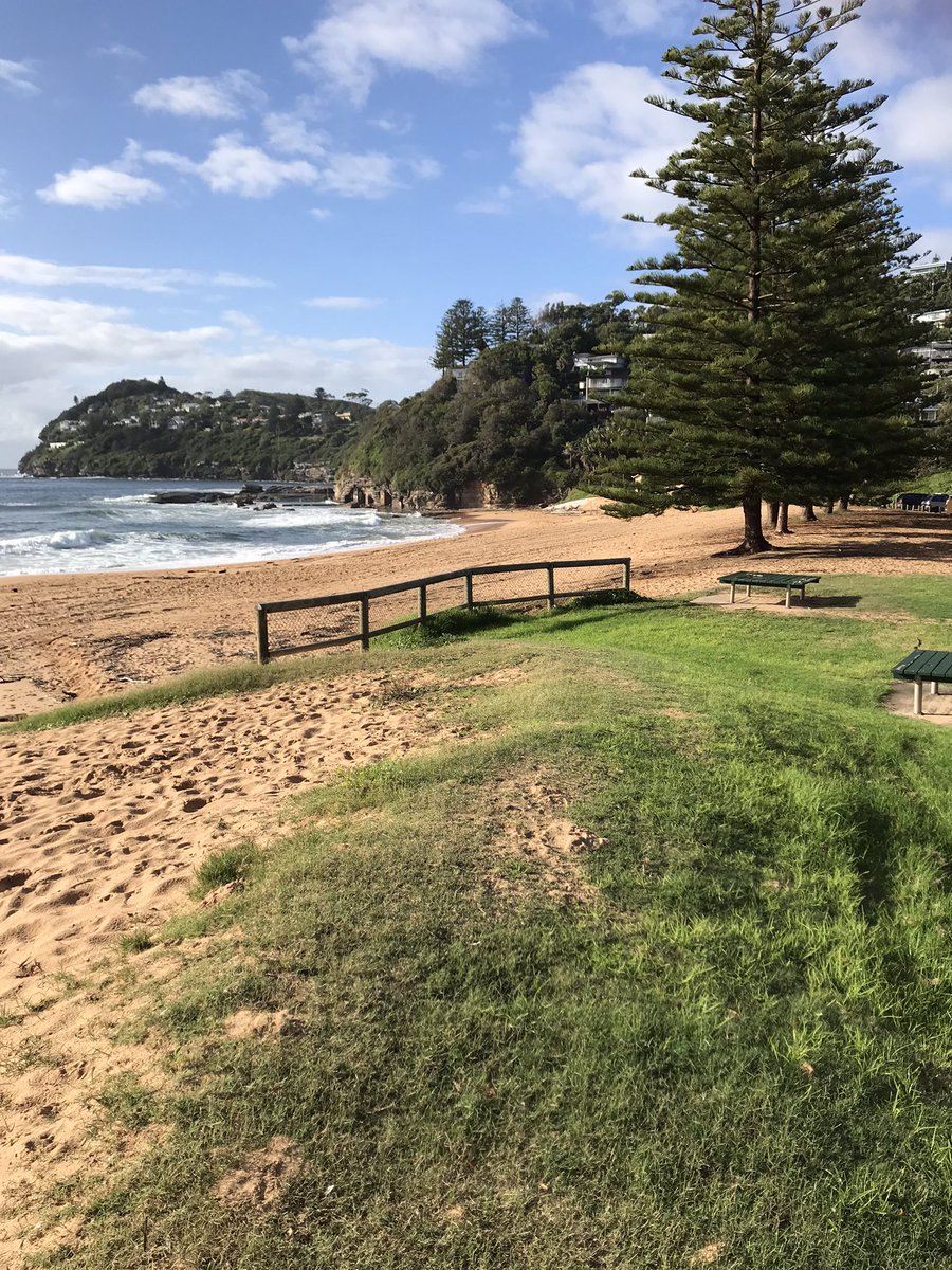 shebahdriver's tweet photo. Whale Beach , Northern Beaches NSW Beautiful! ☀️ 💦
#Shebah #RIDEONTIME #rideshare #NorthernBeaches https://t.co/UsnDPWndVQ