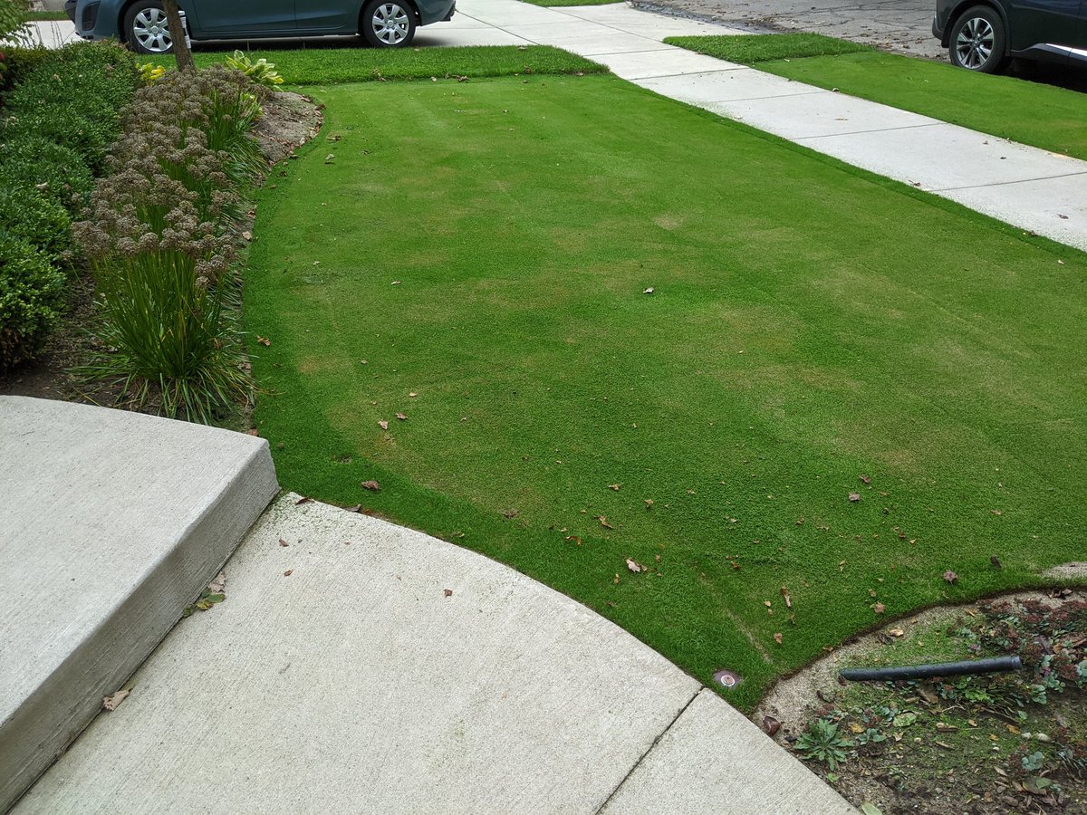 Ben werthmann tweet media