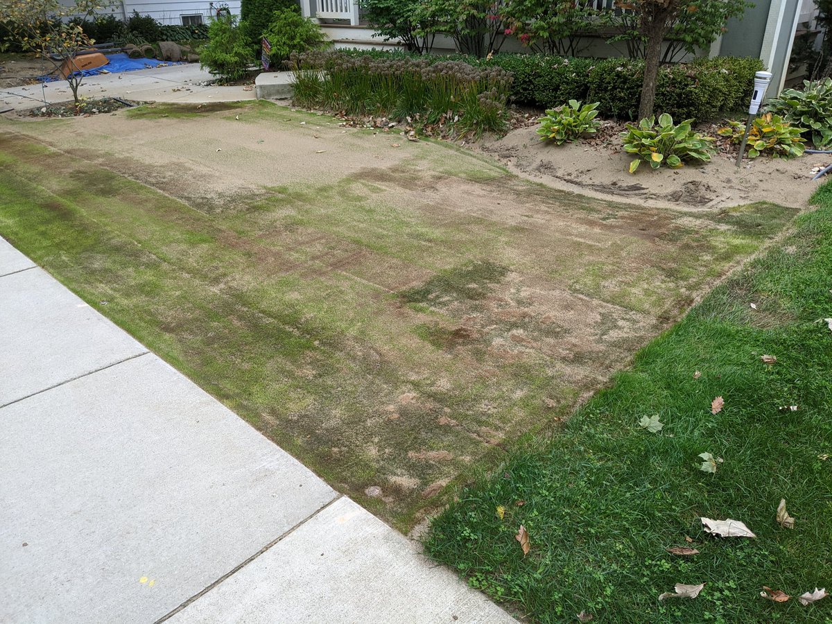 Ben werthmann tweet media