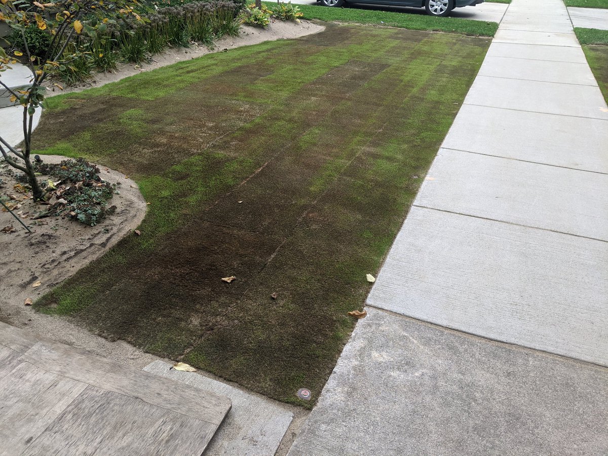 Ben werthmann tweet media