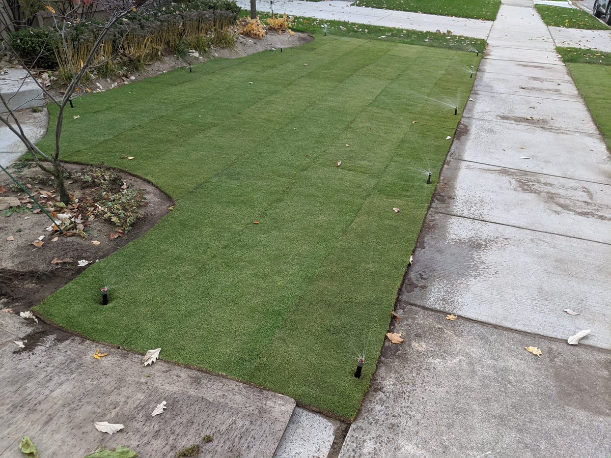 Ben werthmann tweet media