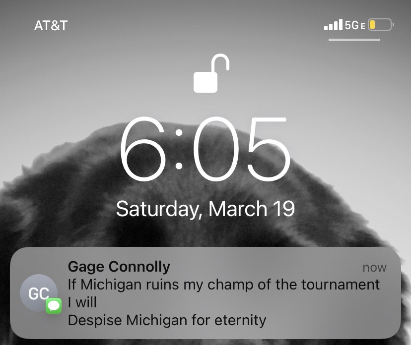 GWS_Fan's tweet photo. This can be tolerated #GoBlue https://t.co/kS28ZHXg1G