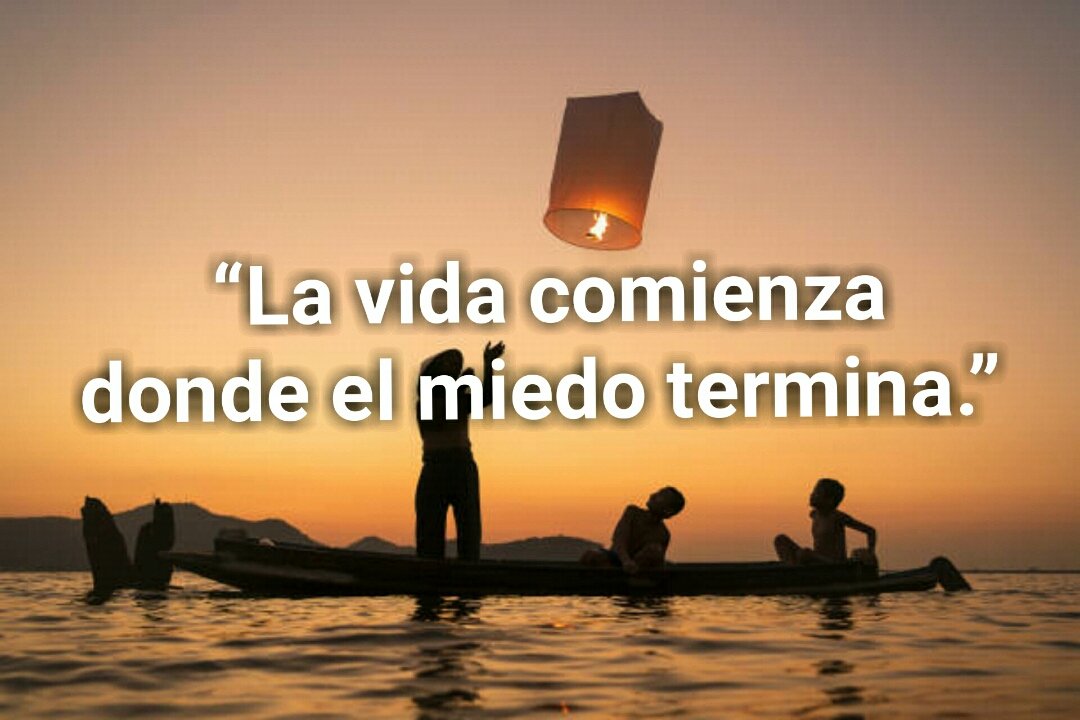 WolfWhite82's tweet photo. @Paufdezm https://t.co/VzFaNm3q7e