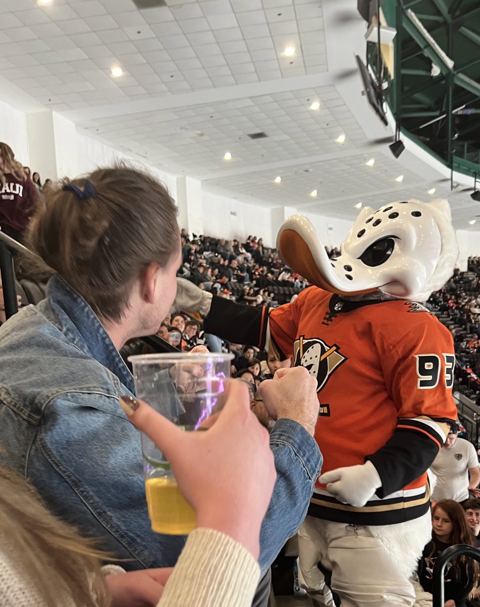 GarrettPyatt's tweet photo. The almighty Duck. Unreal. I didn’t even know how to react my first instinct was to knock ‘em out https://t.co/X3jWucMhYj