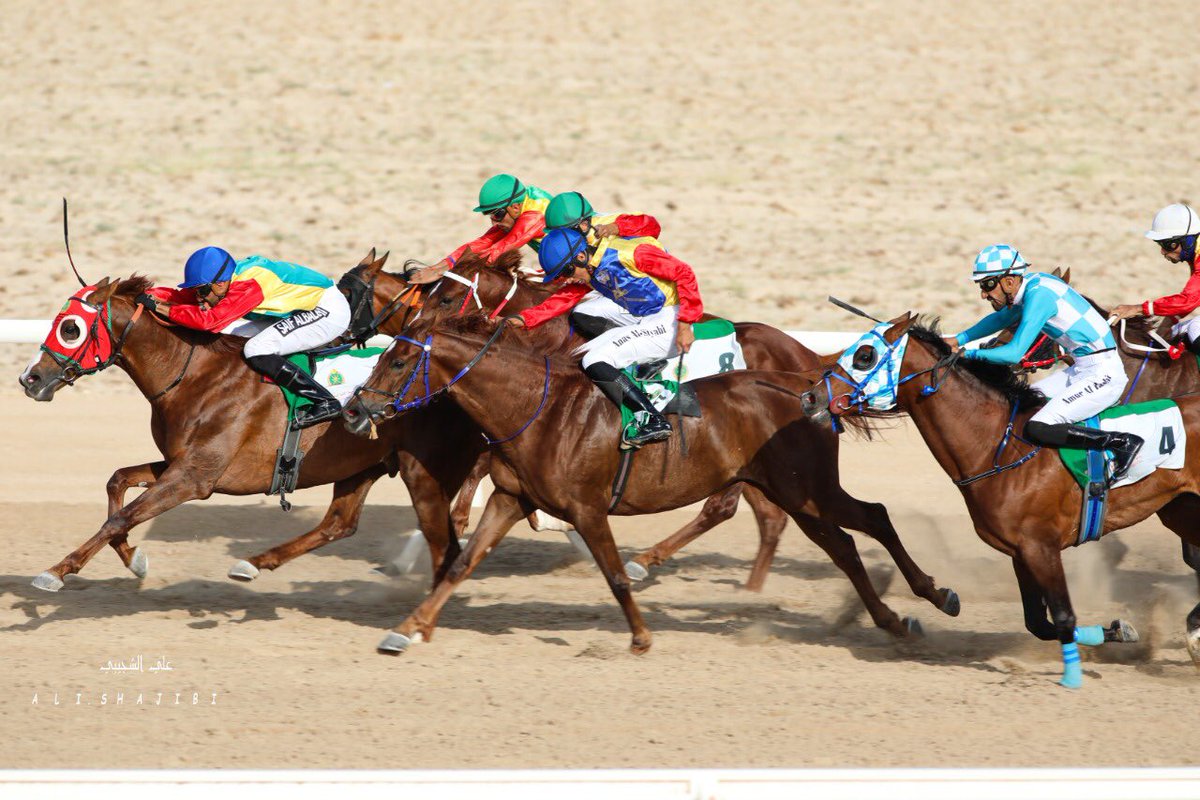 ALi_Shajibi's tweet photo. بعض الصور من سباق #الخيل السنوي للخياله السلطانية #بصلاله
#سباق_الخيل_السنوي 
#الخياله_السلطانية
#سلطنة_عمان 
#صلالة https://t.co/hCKi2DigDt