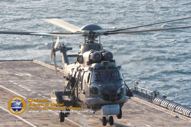 Guilherme Wiltgen 🇧🇷 🇱🇺 tweet media