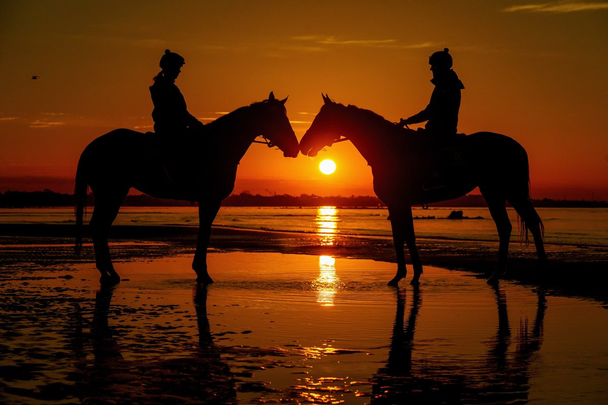 FlemingtonVRC's tweet photo. Zaaki and a stablemate enjoying recovery against the stunning backdrop of Altona beach. https://t.co/EabUZoSlUr