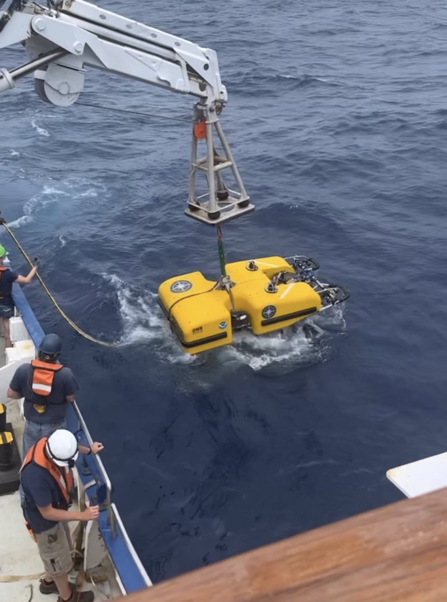 EVNautilus's tweet photo. #DiveAlert! The first dive of the expedition is officially underway! Watch live at https://t.co/Ajj54YYX2Q! 🌊🛳🎥 https://t.co/ICsCJ4sDDn