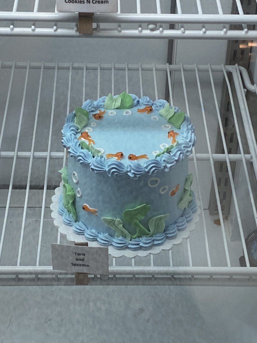 min.a + 민아 tweet media