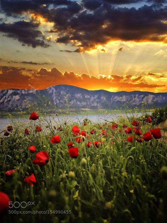 Photo by AndroulidakisStelios
#naturephotography