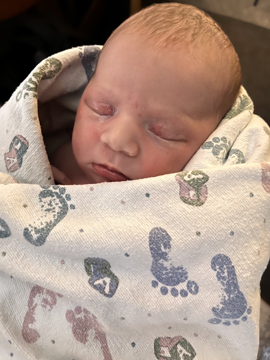 SheaInIowa's tweet image. It’s a girl!