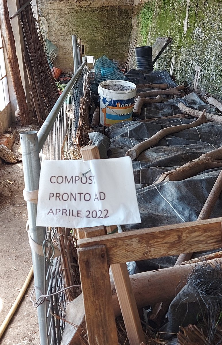 serresannicola's tweet photo. Nelle #serresannicola fabbrichiamo il compost che ci serve. Gianfranco è il nostro esperto, ma Tommaso deve prima triturare foglie e rametti. Qui non si butta niente, tutti ci mettiamo qualcosa, persino il cartone! #benecomune #Castelleto #Zenaverde #Genovameravigliosa https://t.co/yrwX42tKHf