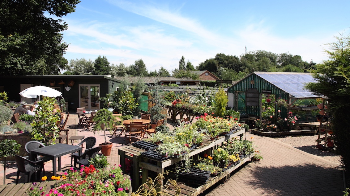 All Things Norfolk tweet media