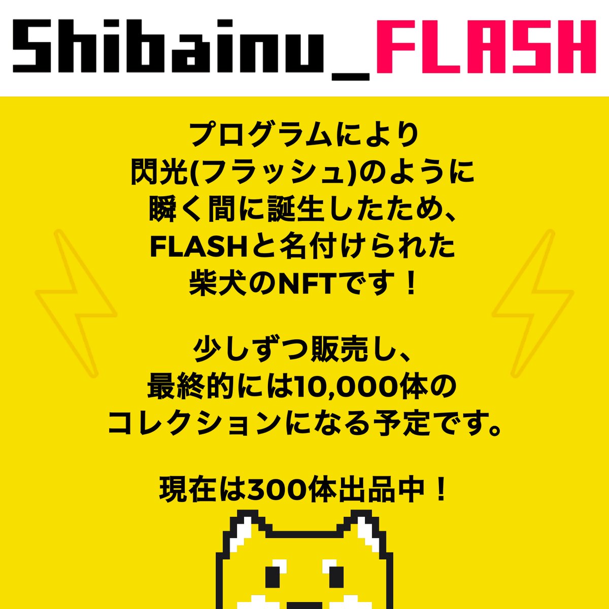 FLASH⚡️ tweet media