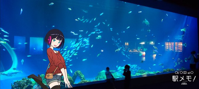 大水槽のtwitterイラスト検索結果