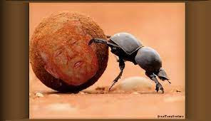 chestnut_daniel's tweet image. a "TO DO" #DisinfoOps Political Bullshit Talking Points List For Those #DungBeetlesOfPolitics: #GOPGQP &amp;amp; #MAGAMadness 
#FoxSpews