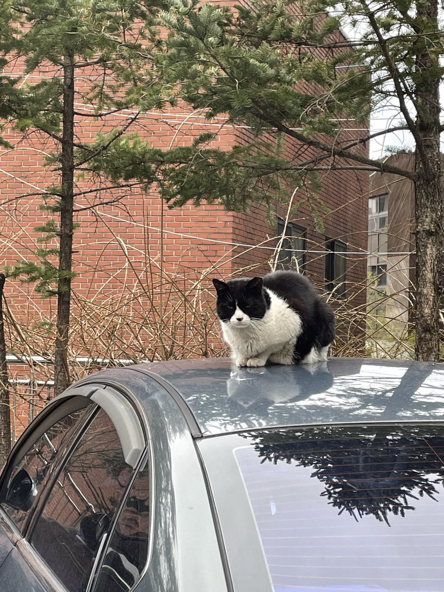 햅삐 일요일 ~😎 #🌱