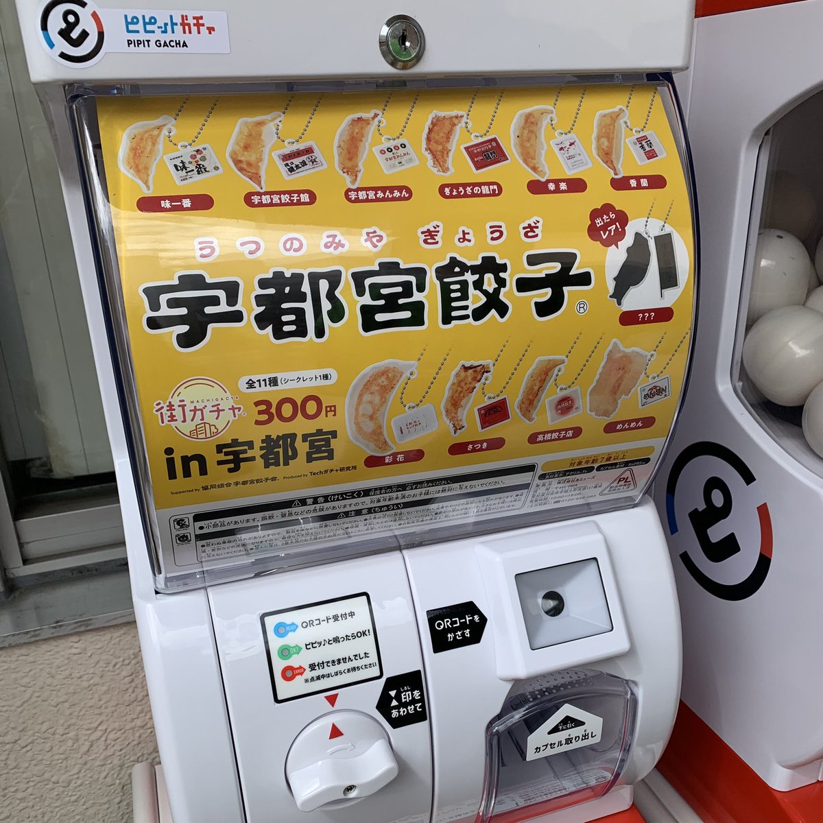 宇都宮餃子 ガチャしました！ キャッシュレスガチャは初体験でした