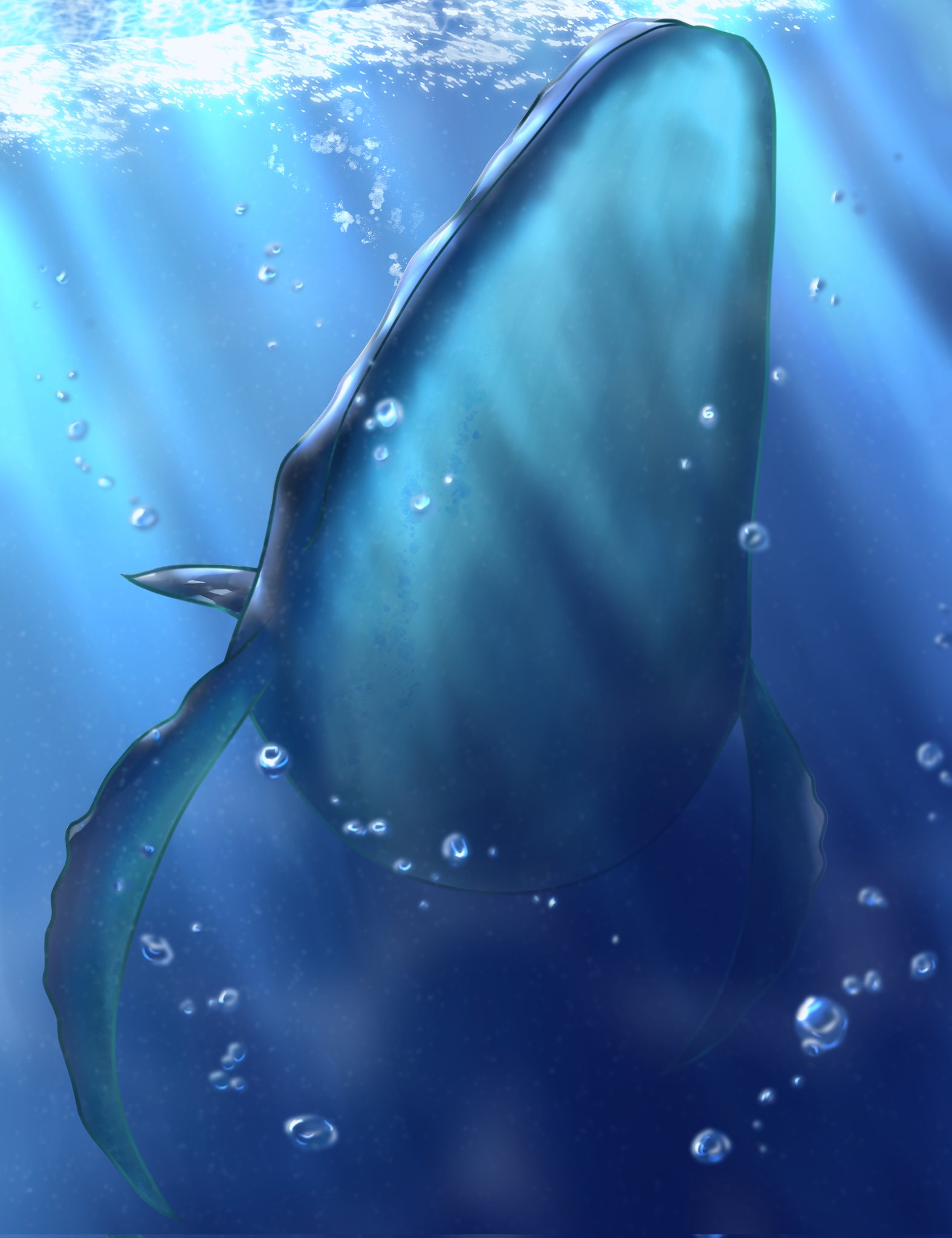 クジラ Twitter Search Twitter