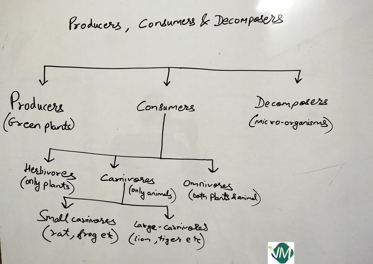 ViabilityC's tweet photo. Producers, Consumers & Decomposers.
Class 10th ๐Our Environment
#class10th #boardexam #sunday #foodchain https://t.co/8Rb8lWGOYj