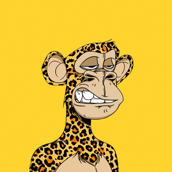DC_Ninja_'s tweet photo. @akathefuture @0xApes_NFT #CheetahFam https://t.co/B4dmYbRMAC