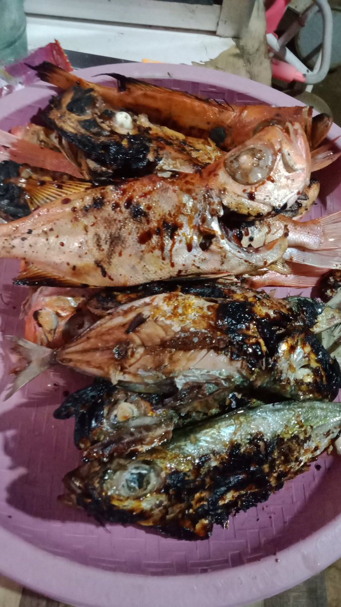 Amsaaaar's tweet image. Kokobok