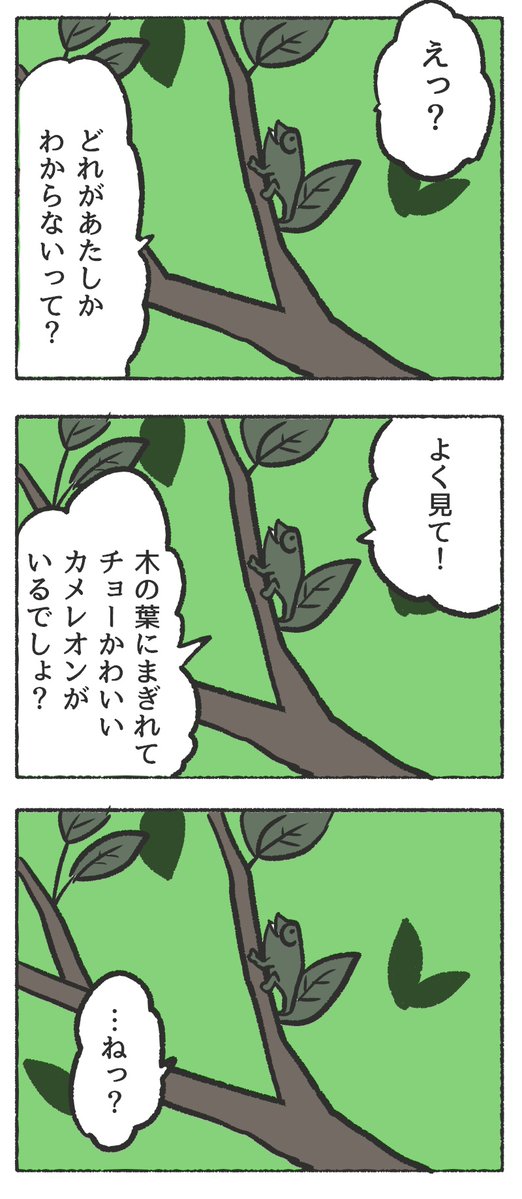 【お詫び】連載中の「人間に擬態したカメレオンの漫画」は作画が間に合っていないため本日は更新できません。代理原稿として葉っぱに擬態したカメレオンの漫画をお届けします。
#それでも葉っぱコノハちゃん #それでも人間レオンくん 