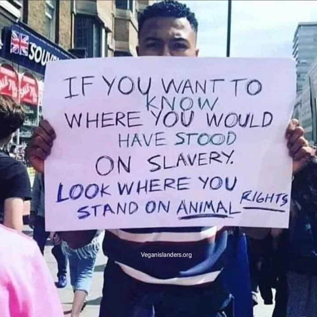 Oppression is oppression, regardless of race or species. 

#oppression#abolition#abolitionist#ahimsa#animals#classism#education#animalrights#justic#moralimperative#moralobligation#nonviolence#racism#rights#sentience#sexism#slavery#speciesism#veganism#vulnerable#wisdom