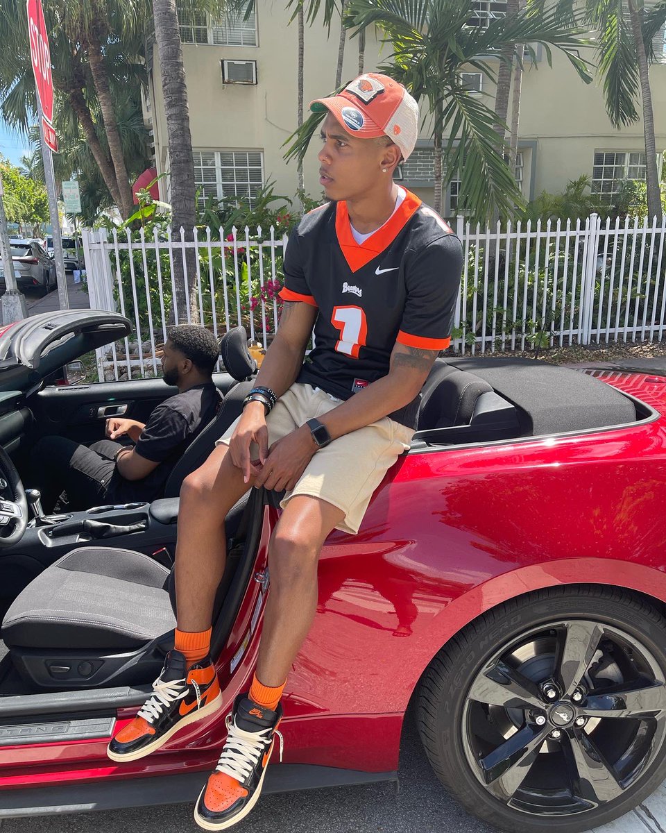 PesoNiro's tweet photo. Palm Tree Miami Vibes.🏝 https://t.co/veTI9hEb1v