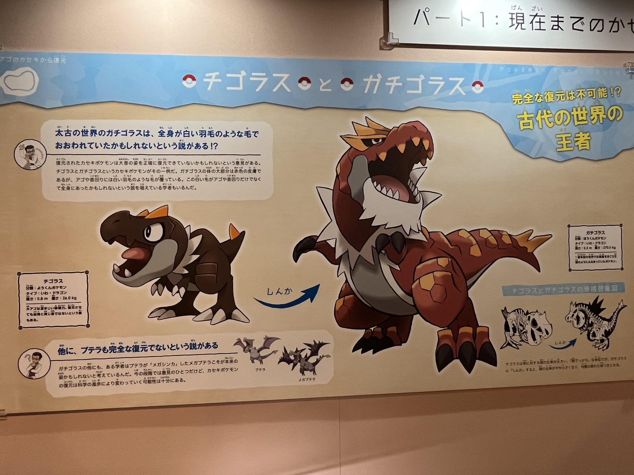 スタープレデター チゴラス系は羽毛の生え方が一部か 全身か未だ分かっていないようでティラノサウルスに関してはティラノと近縁の恐竜に羽毛が生えていたという証拠が見つかっているもののティラノ自身には未だその痕が無いので羽毛が生えていたのかも
