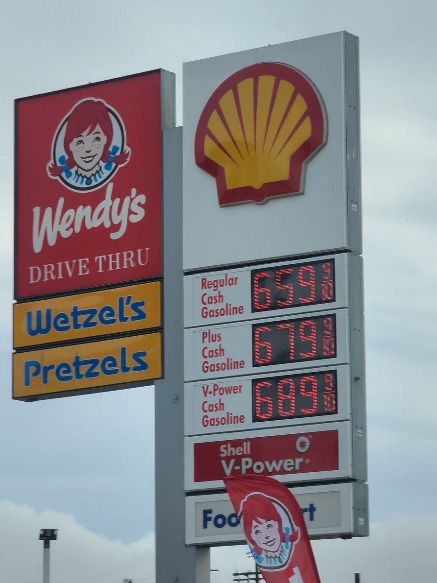 PkmnMasterHolly tweet media