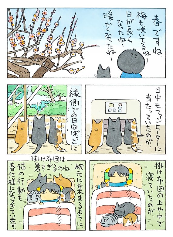 トイレと春│フェリシモ猫部 https://t.co/mTeRfvTQK4 