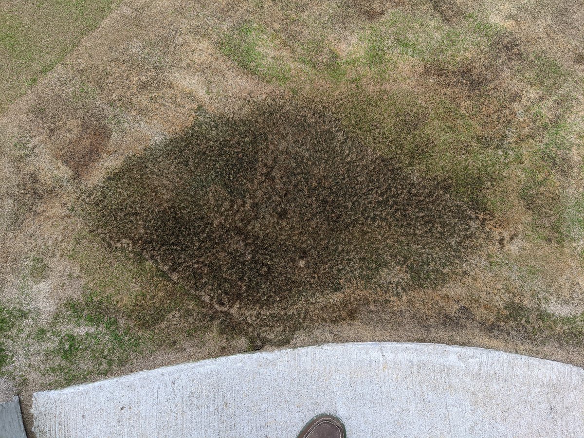 Ben werthmann tweet media