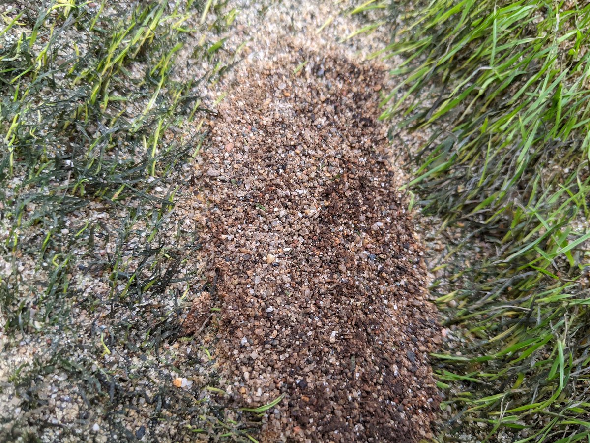 Ben werthmann tweet media