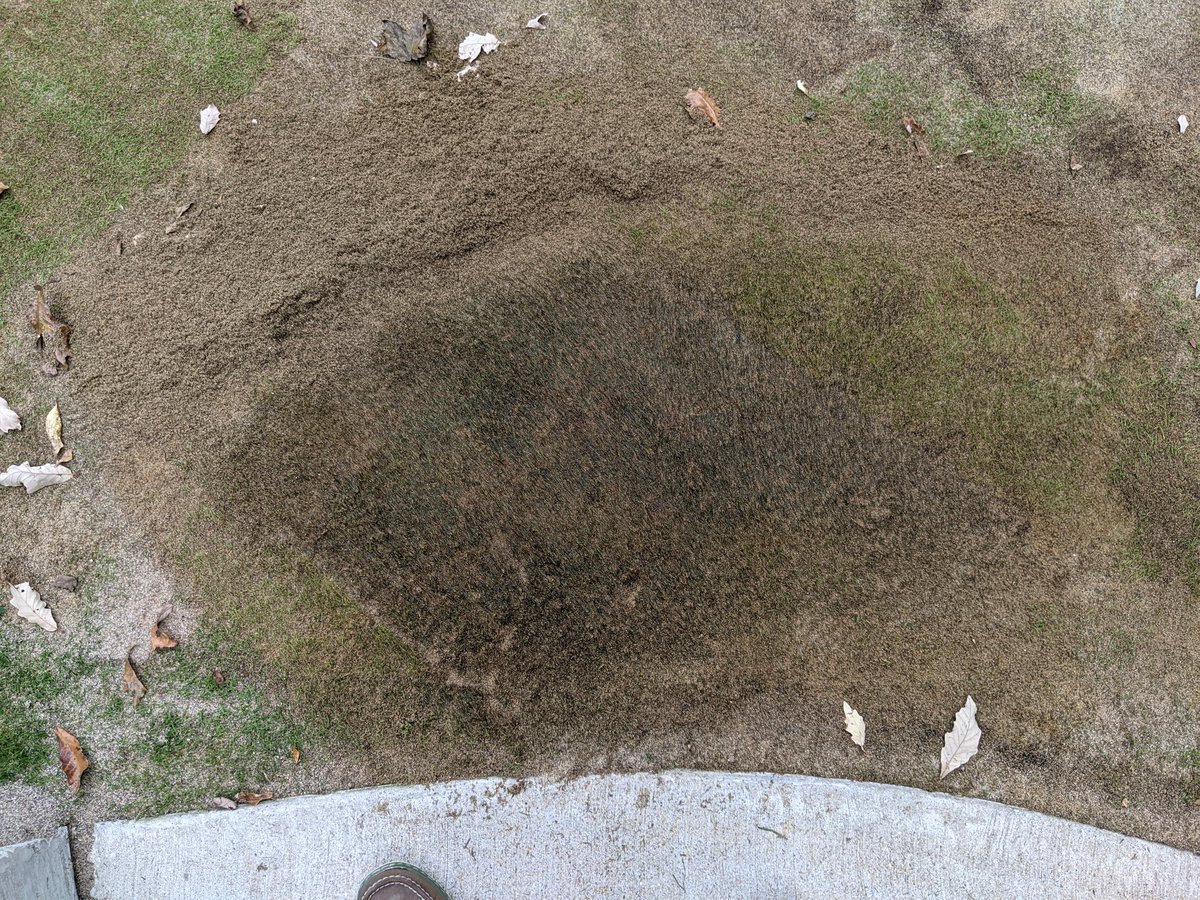 Ben werthmann tweet media