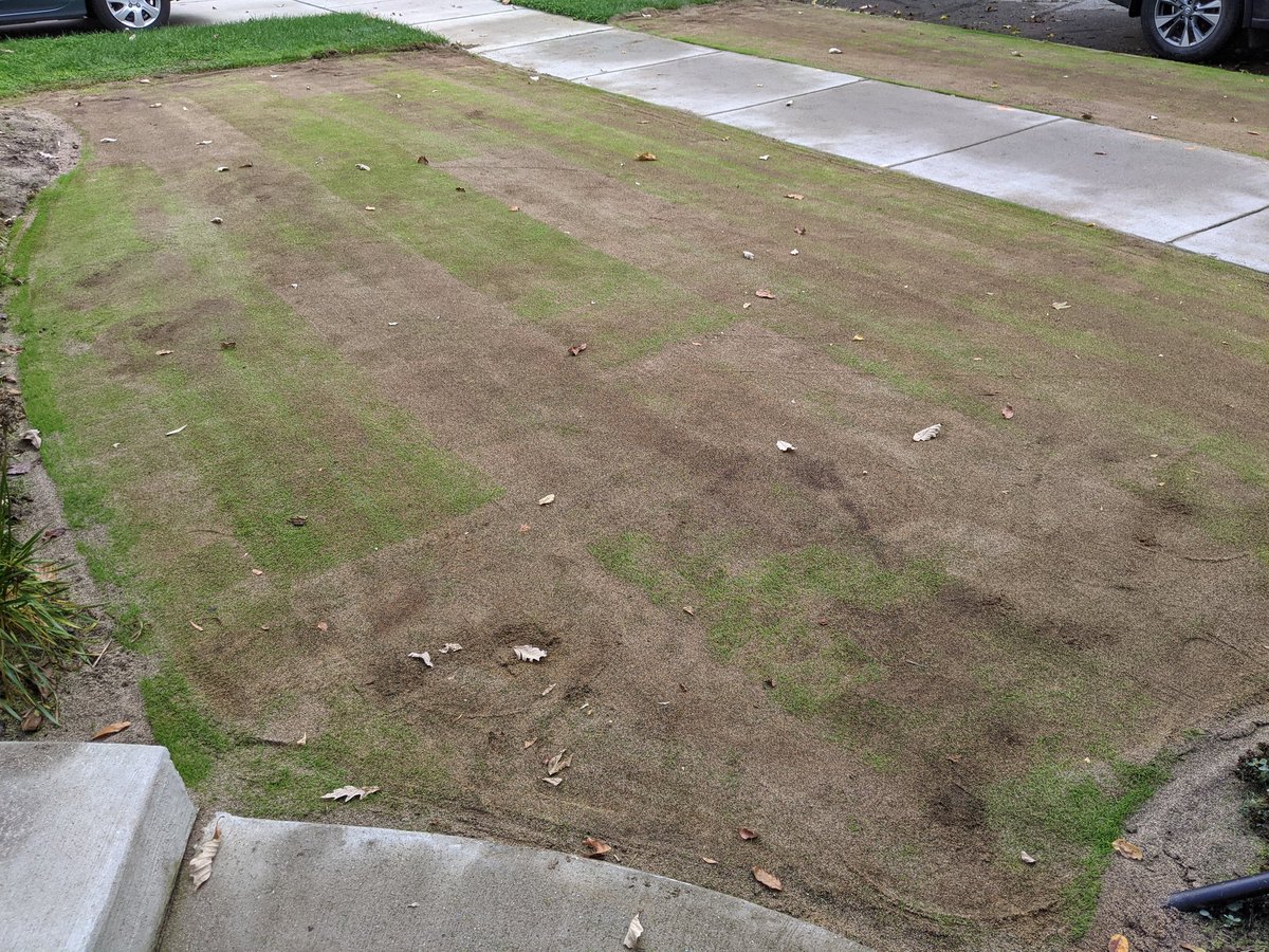 Ben werthmann tweet media