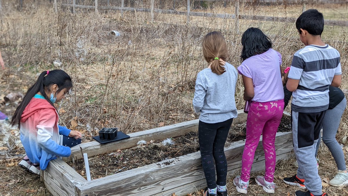 RebeccaFarnham2's tweet photo. I had a great time exploring the FW grounds with my grade 3 friends. #garden #milkweed #getoutside https://t.co/z5BuRfpfvE
