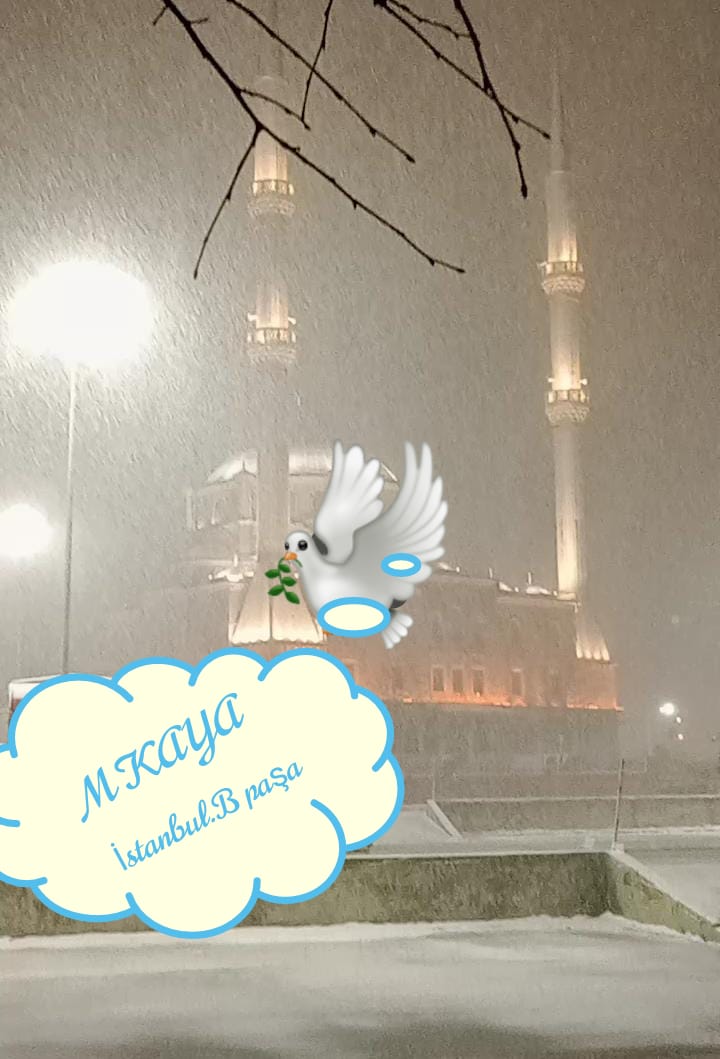 İstanbul da son durum B paşa