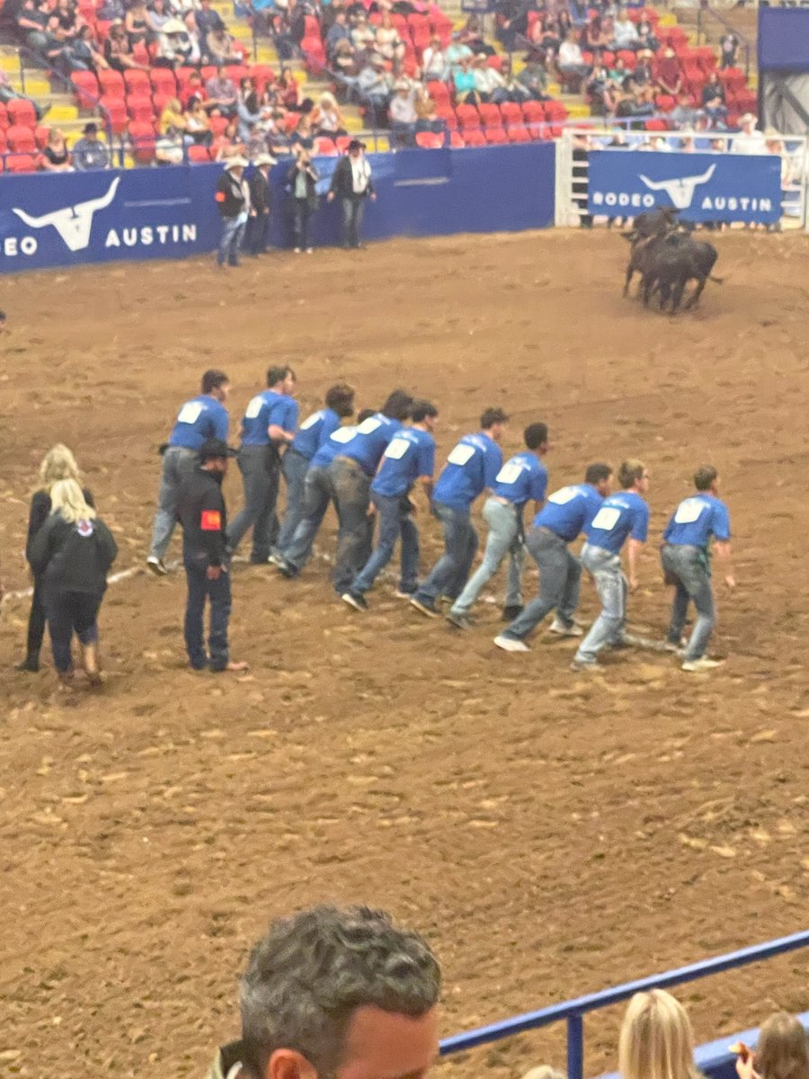 cypressparkffa's tweet photo. Congratulations Eddie Fowler on your successful day at the Austin Livestock Show Calf Scramble.  Look forward to seeing your hard work and dedication towards your next project pay off in and outside of the showring. #RiseUp #ITT https://t.co/GWLeYDQPE8