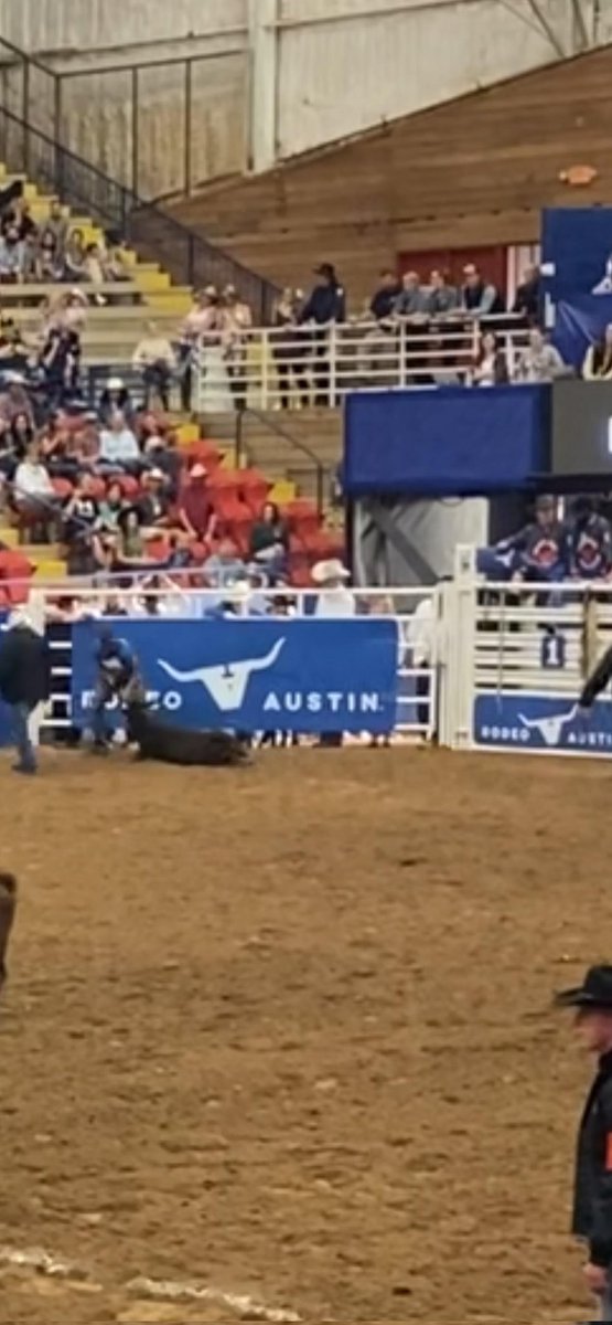 cypressparkffa's tweet photo. Congratulations Eddie Fowler on your successful day at the Austin Livestock Show Calf Scramble.  Look forward to seeing your hard work and dedication towards your next project pay off in and outside of the showring. #RiseUp #ITT https://t.co/GWLeYDQPE8