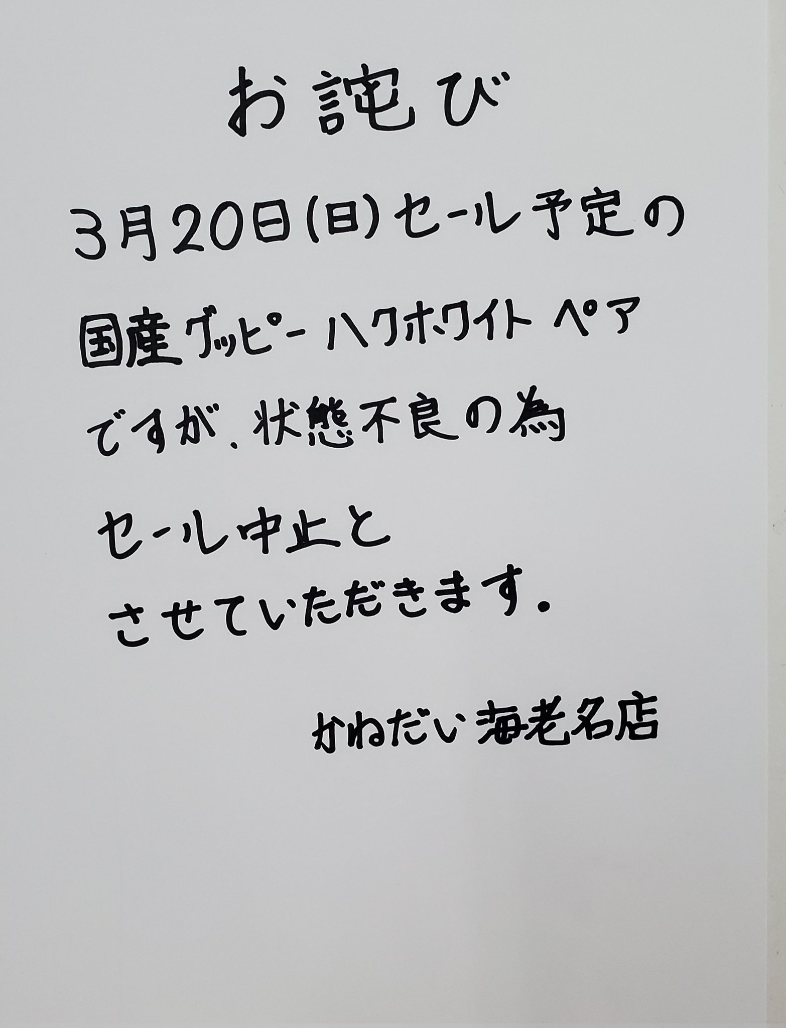 かねだい 海老名店 Kanedai Ebina Twitter