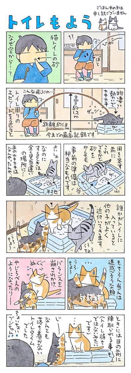 「トイレと春」
トイレタイムはちょっかいタイム。
ゆったり落ち着ける環境を作ることも
私の仕事のひとつです。
(久保智昭さんの「猫色スケッチブック」)つづきはこちら⇒https://t.co/X7pwiWMoEO 